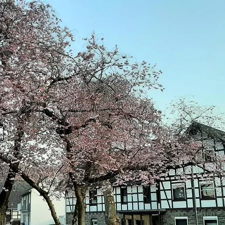 Vivanatura Eifelferienstudio
